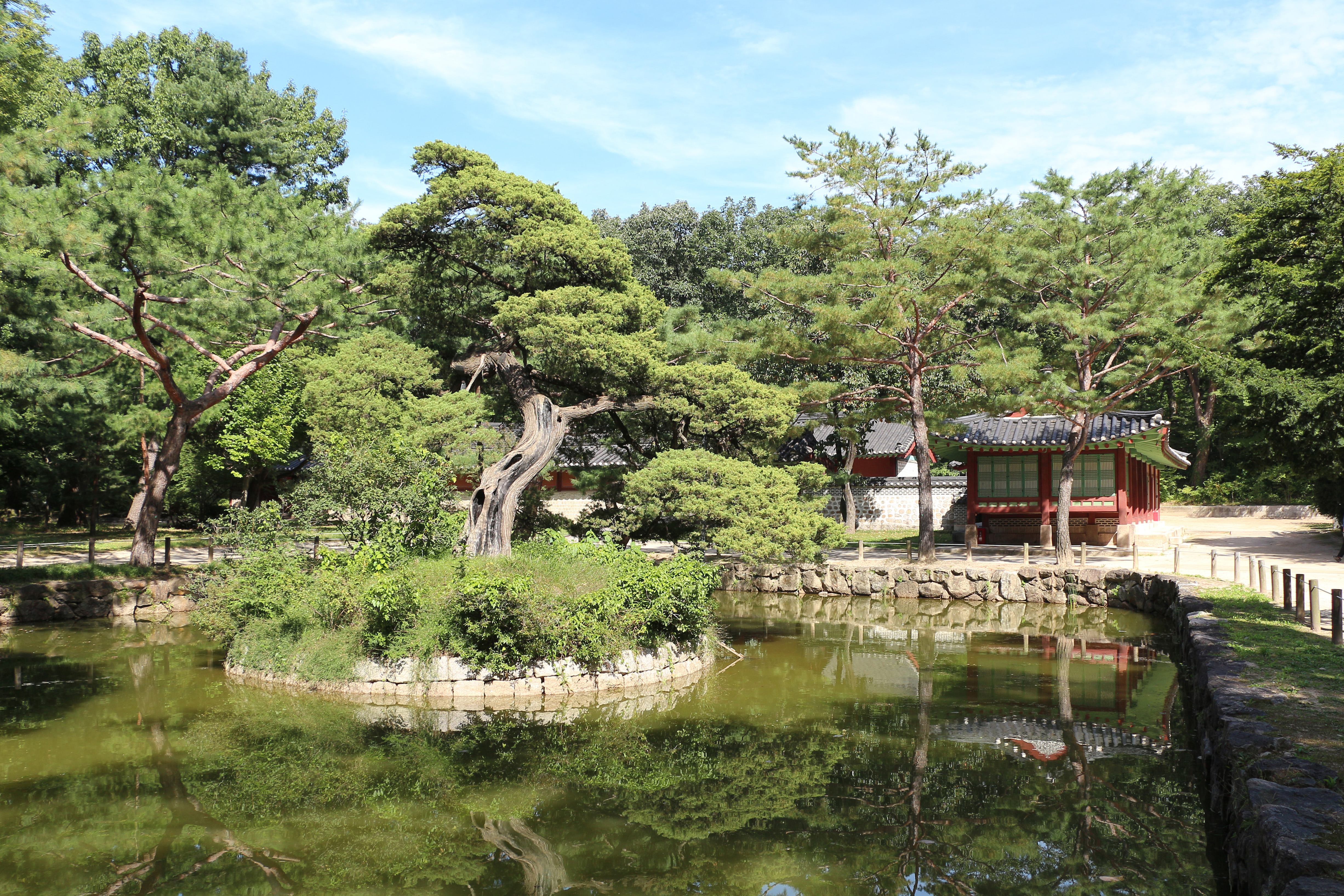 A quiet pond at Jongmyo Shrine in Seoul, the Joseon-era royal shrine next to Seosulla-gil in Jongno 3-ga