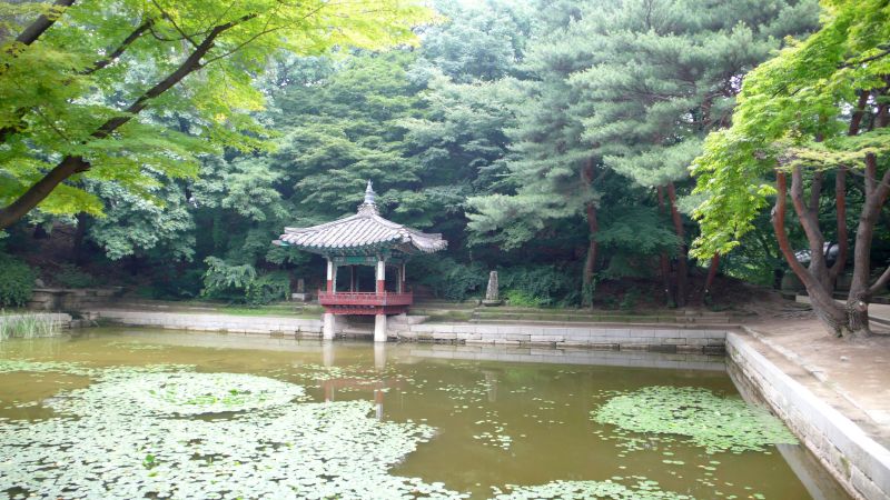 Aeryeonjeong pavilion and pond in the Secret Garden (Huwon) of Changdeokgung Palace, Seoul